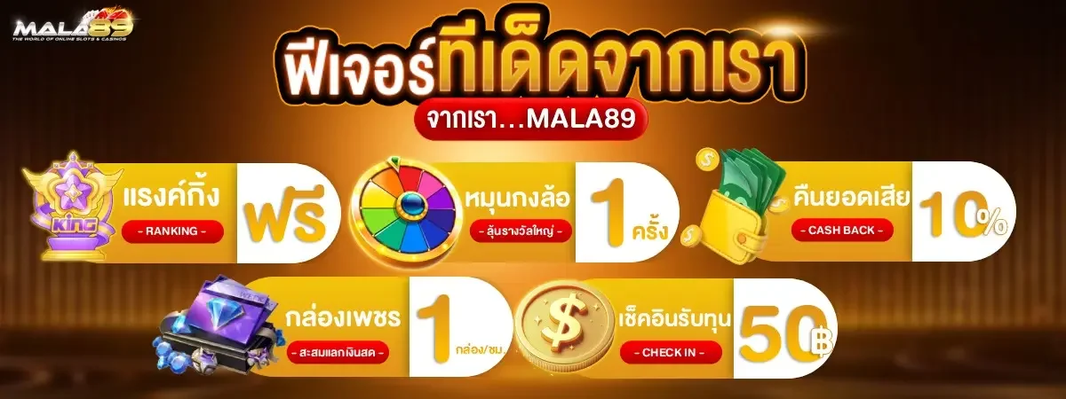 คู่มือ MALA89 ตรวจทางเข้าและใช้งานอย่างปลอดภัย