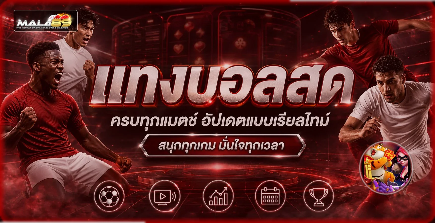 คู่มือ MALA89 ตรวจทางเข้าและใช้งานอย่างปลอดภัย